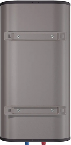 Электрический накопительный водонагреватель Thermex Fora 50 (pro) Wi-Fi